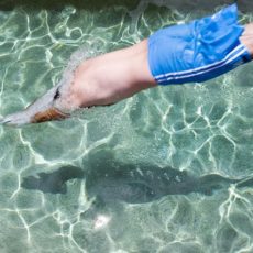 felnőtt úszásoktatás - lehetséges